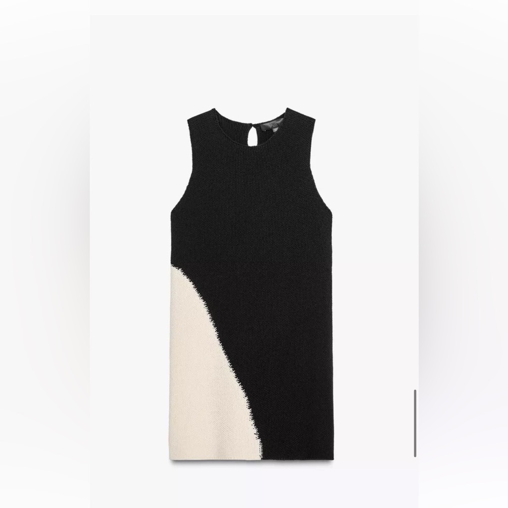 Zara Black and Cream Mini Dress